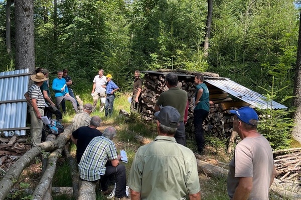 Exkursion Kleinprivatwald 4.7.25